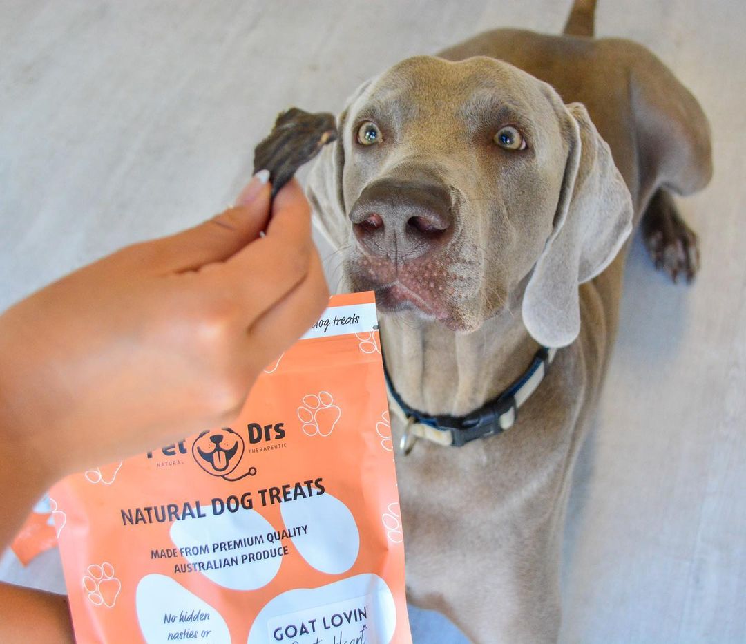 Food Allergies Ease Your Dog s Discomfort Pet Drs