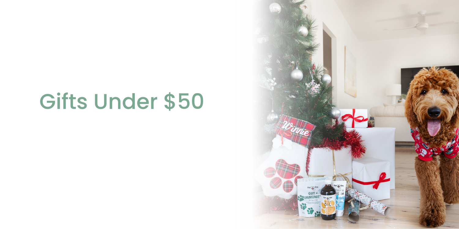 Gifts Under $50