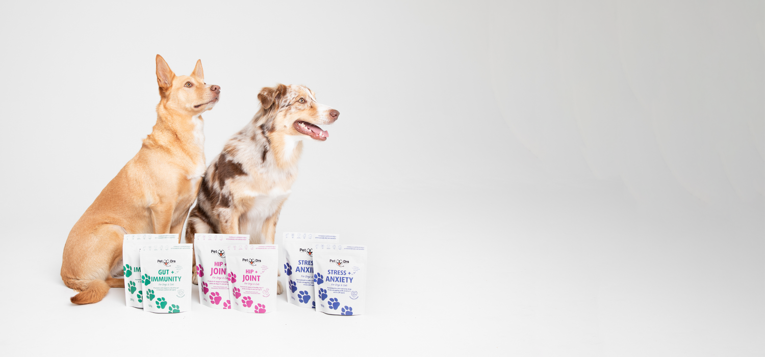 Pet Care Supplements