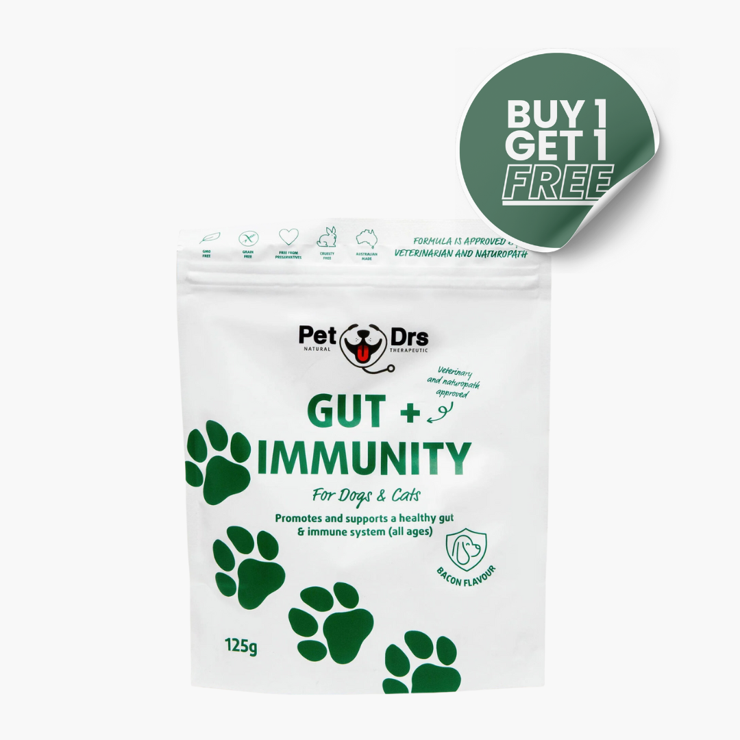 Gut + Immunity