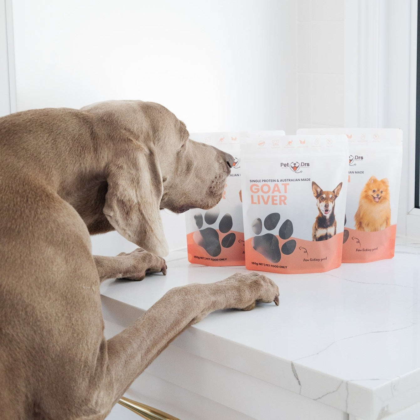 Treat Bundle for Sensitive Dogs