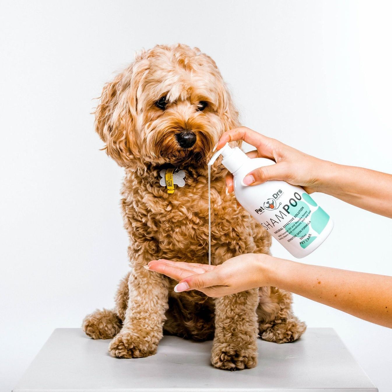 Care best outlet dog shampoo